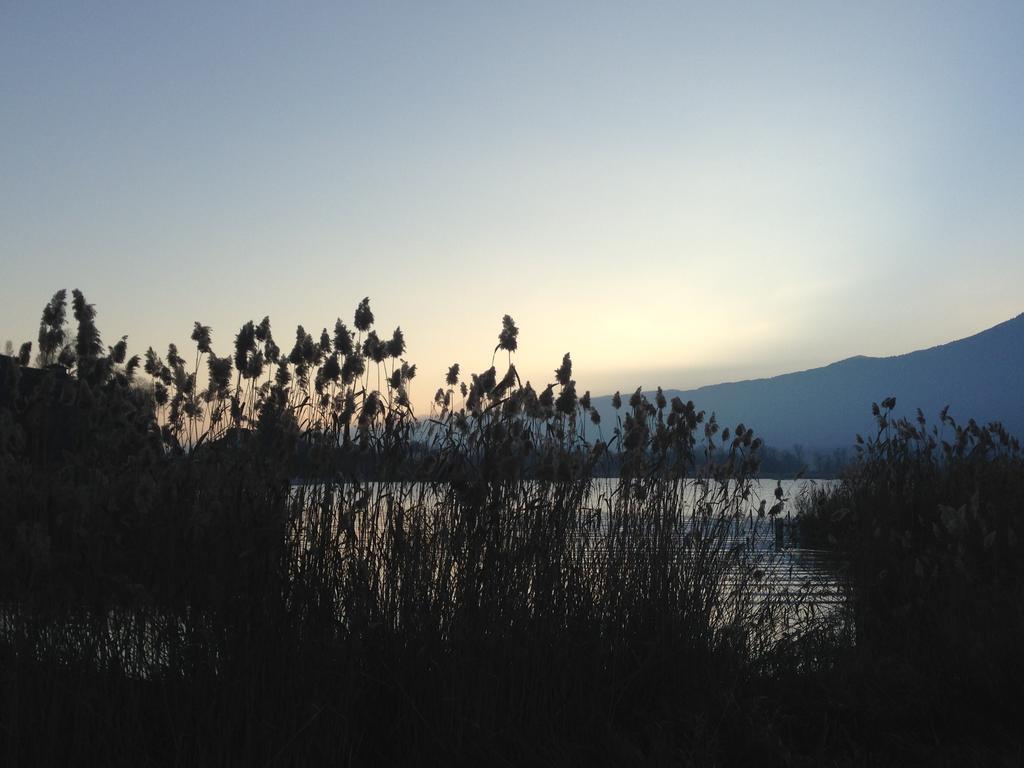Noemys Viviers-Du-Lac Bagian luar foto
